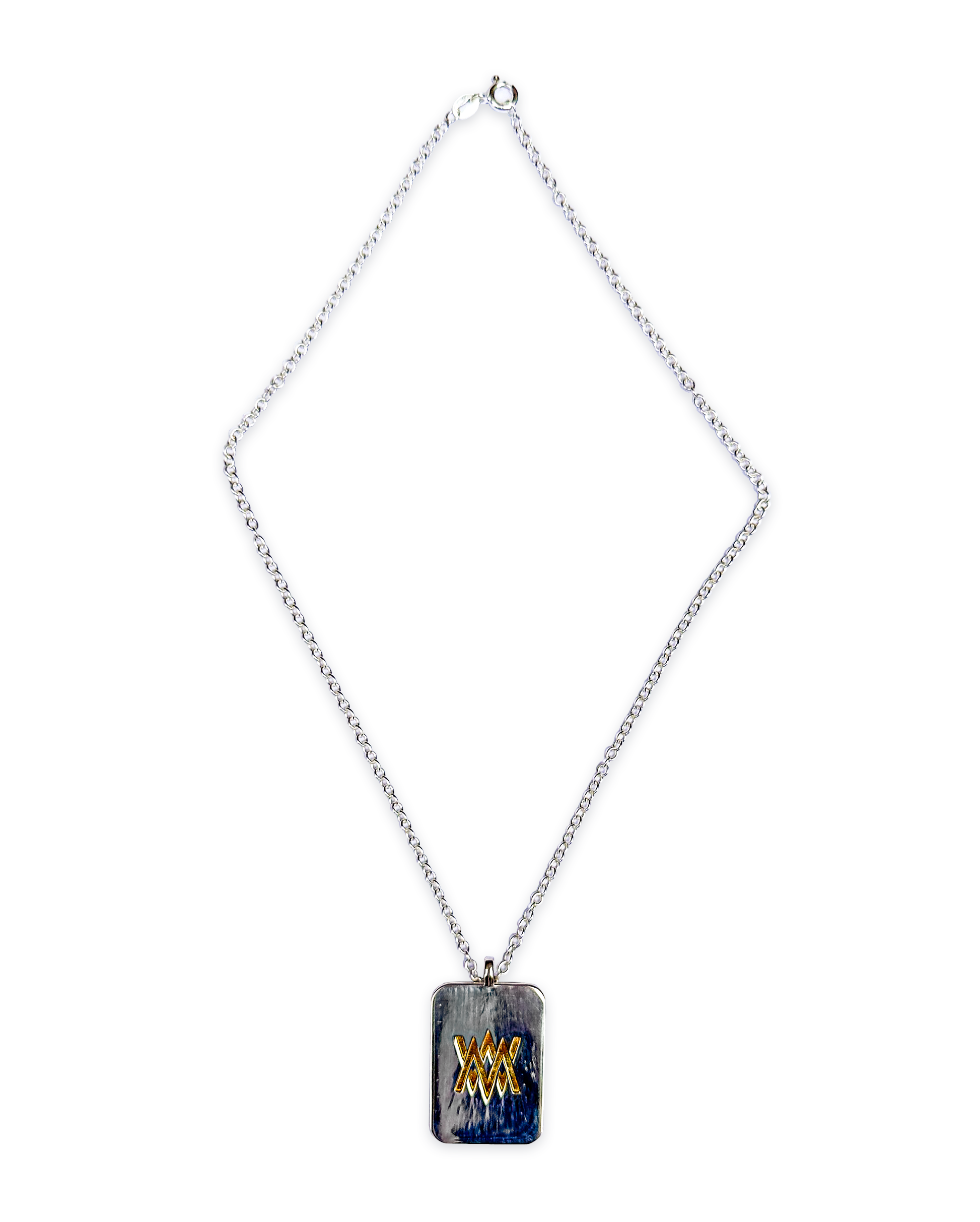 Classic Medical ID necklace shown on full chain.